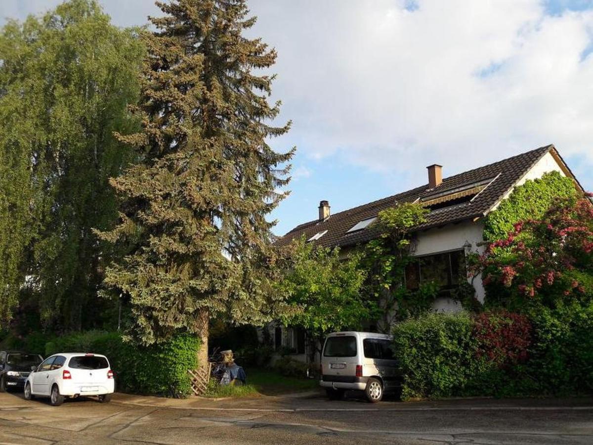 Haus Zur Bienenweide Apartment Schoemberg  Luaran gambar